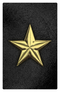 DF35T 430 GD BK Star Gold Black